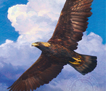 Ute Mountain/Mesa Verde Birding Festival // Ute Mountain/Mesa Verde Birding Festival
